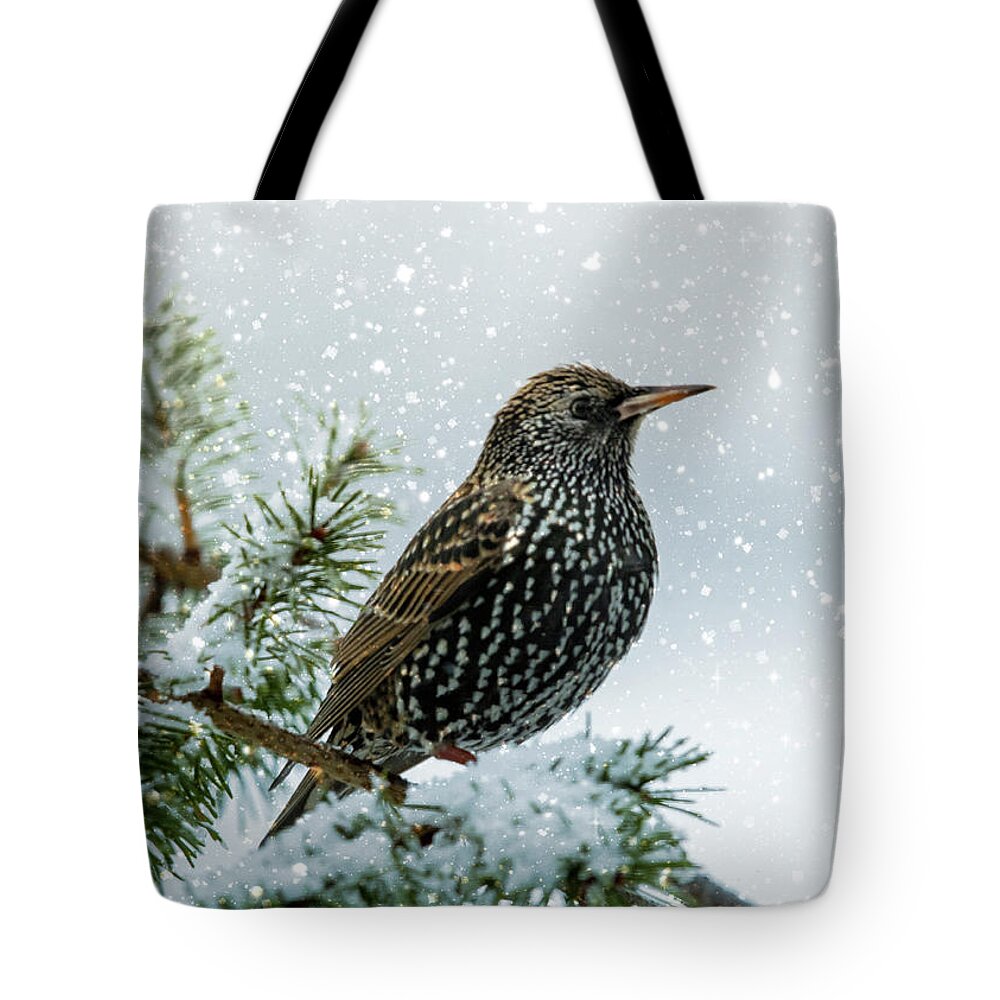 Bird Tote Bag featuring the photograph Starling In Snow by Cathy Kovarik