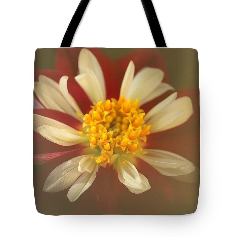 Starsister Dahlia Tote Bag featuring the photograph Starsister by Laurie Lago Rispoli