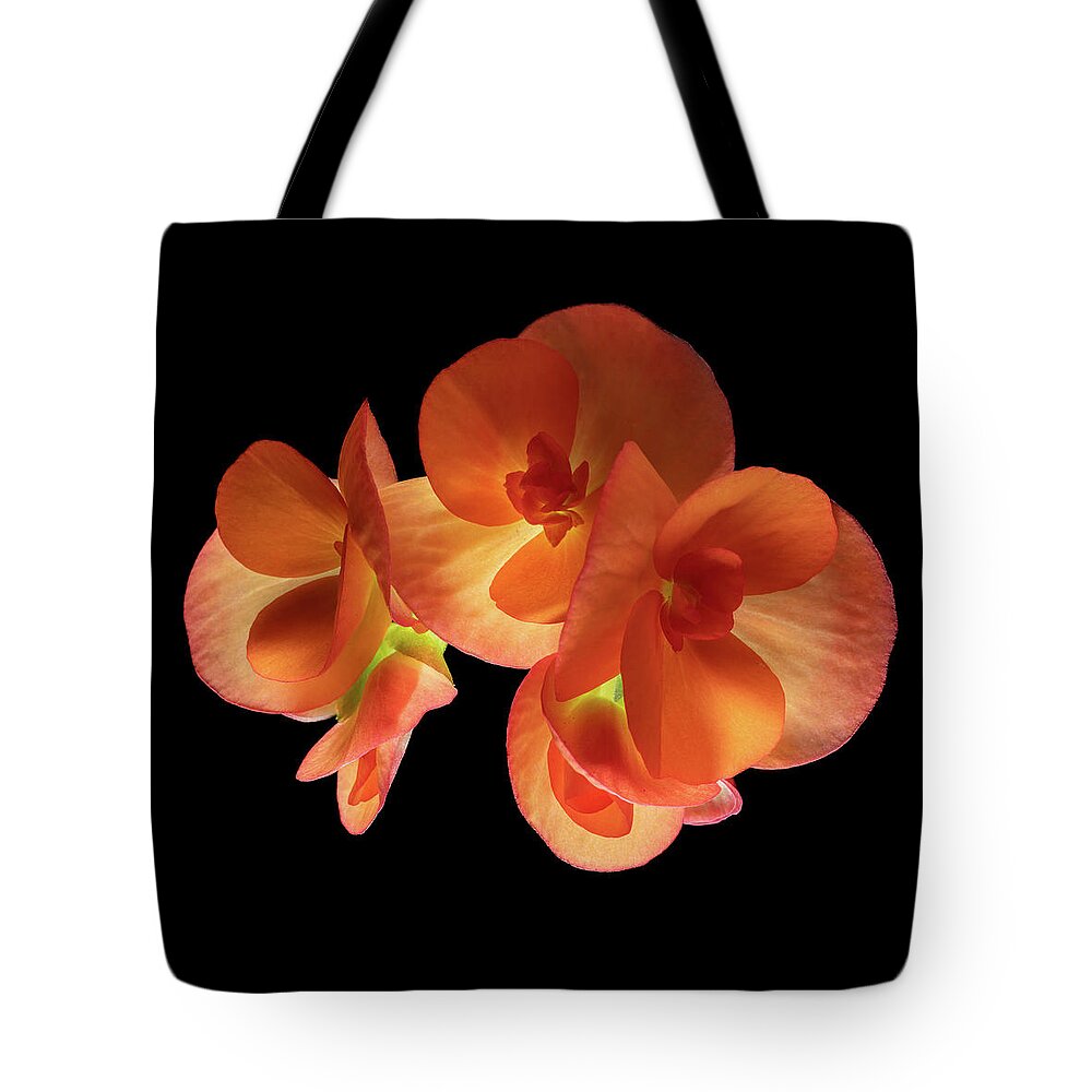 Rudyard Kipling Quotes Tote Bag featuring the photograph Orange and Black by Kevin Suttlehan