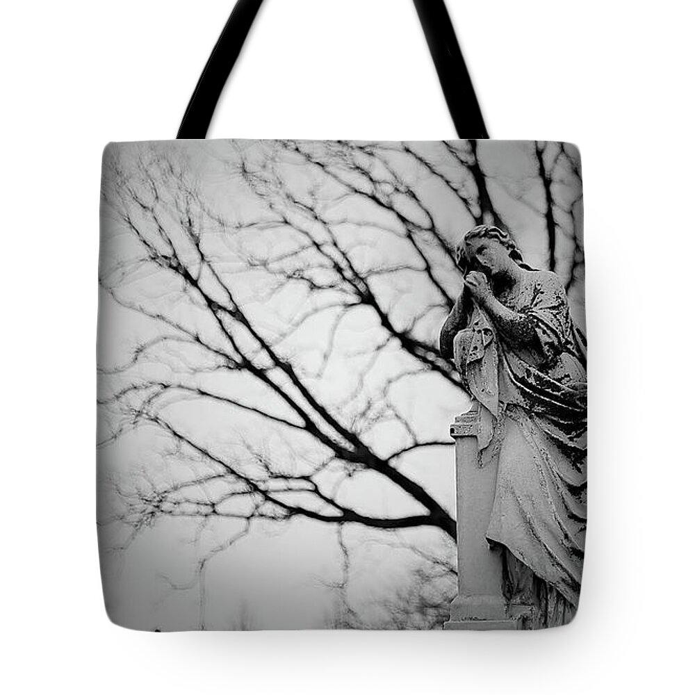 Statue Tote Bag featuring the photograph Statuary 1 by Carol Jorgensen
