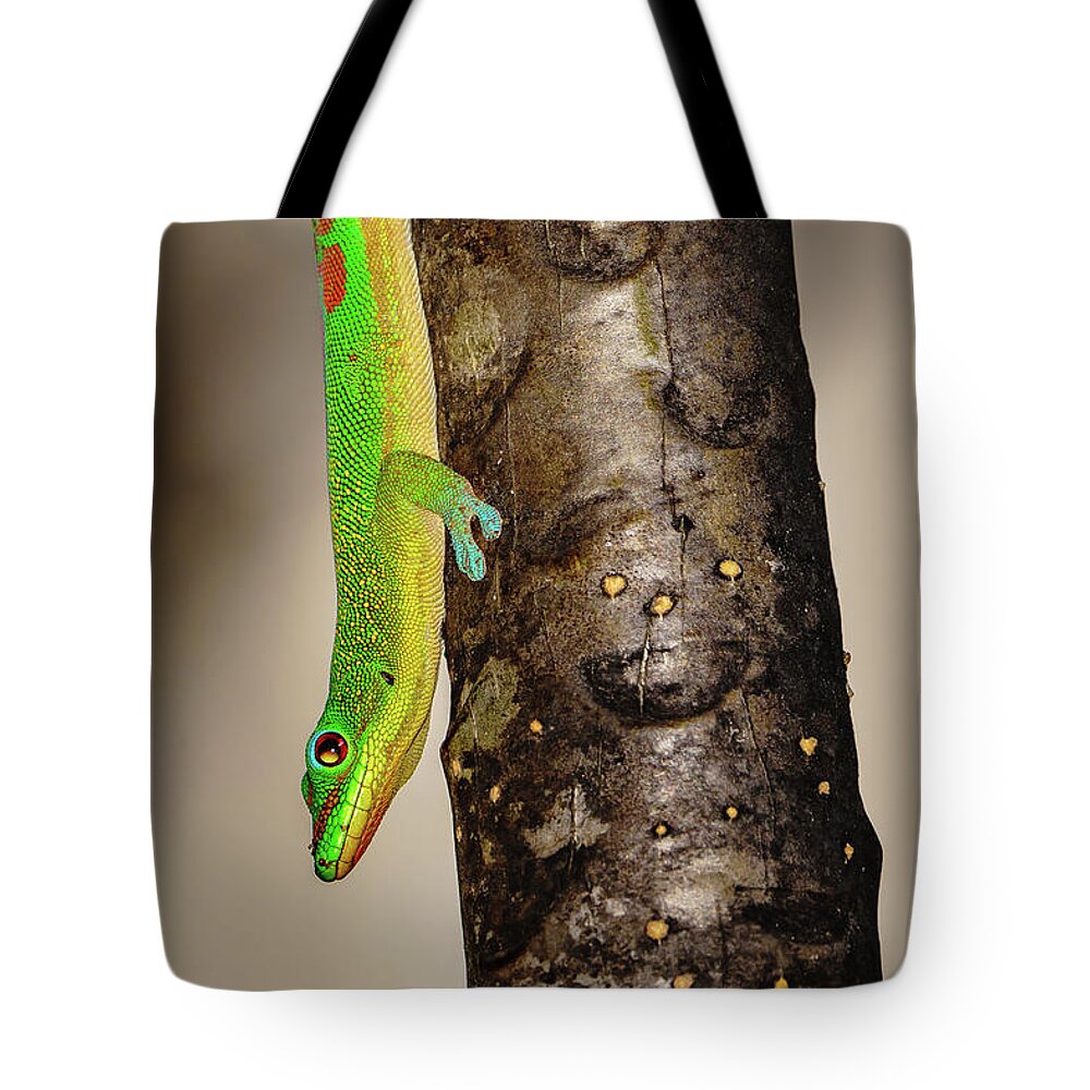 Hawaii Tote Bag featuring the photograph Stay 6 Feet Away by John Bauer