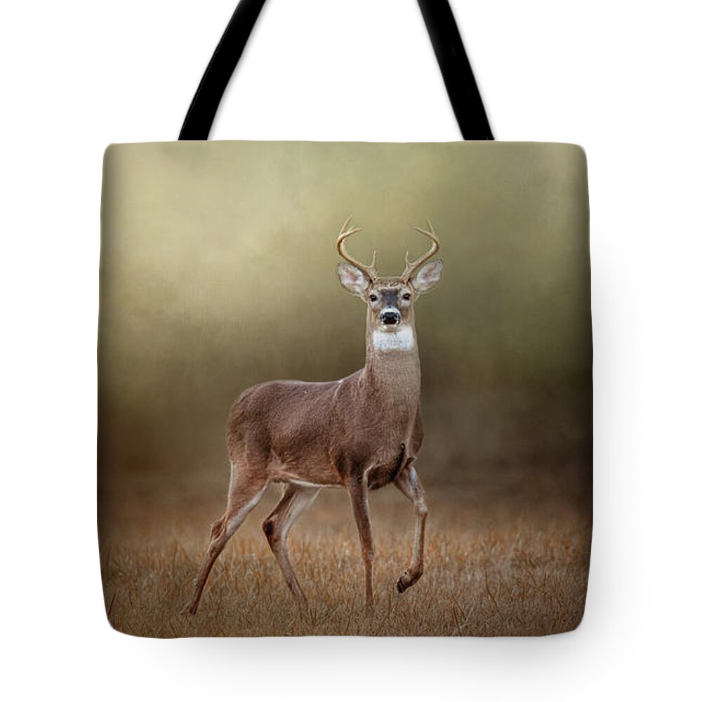 Deer Tote Bag featuring the photograph Stepping Out by Jai Johnson