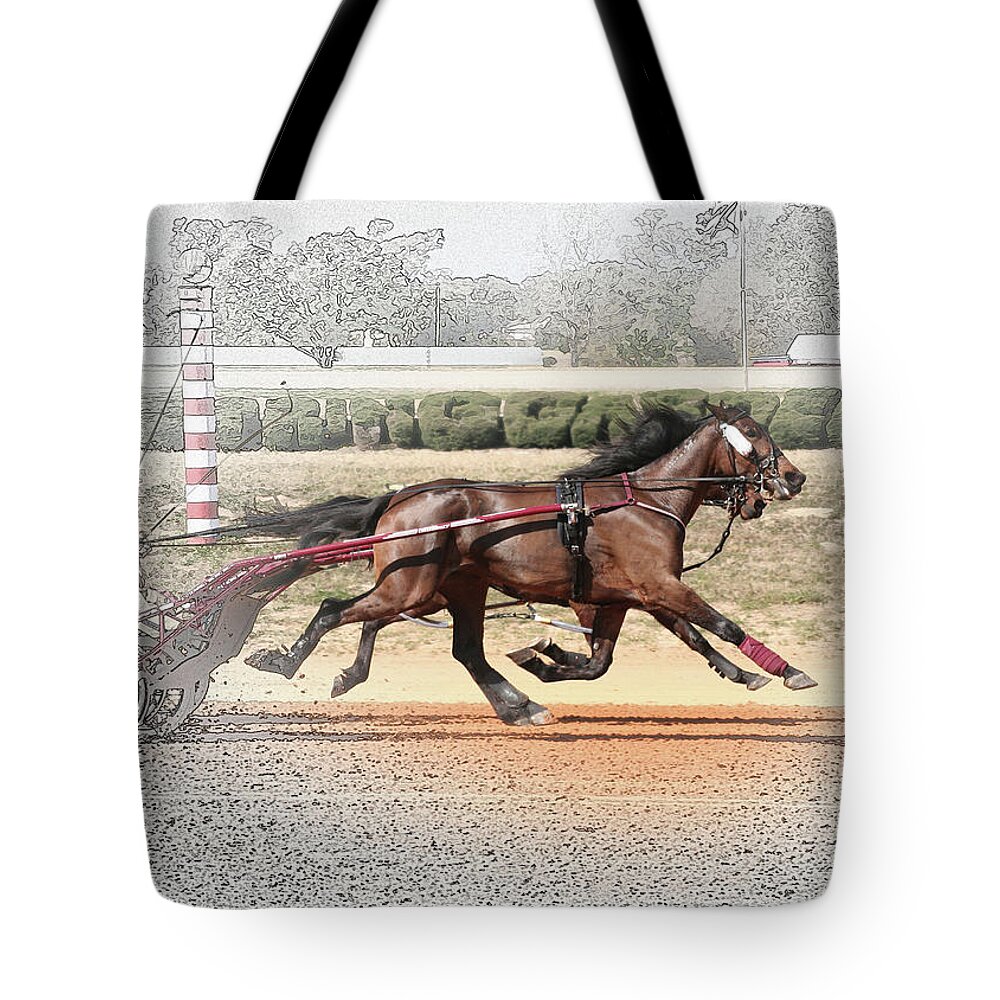 Horses Tote Bag featuring the photograph Stepping Out by M Kathleen Warren