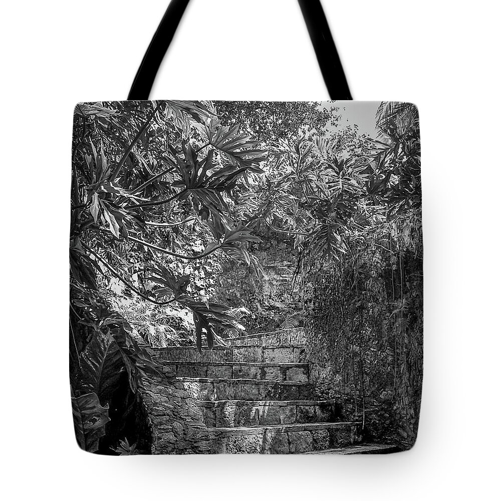 Chichen Itza Tote Bag featuring the photograph Steps Near Cenote Chichen Itza by Frank Mari