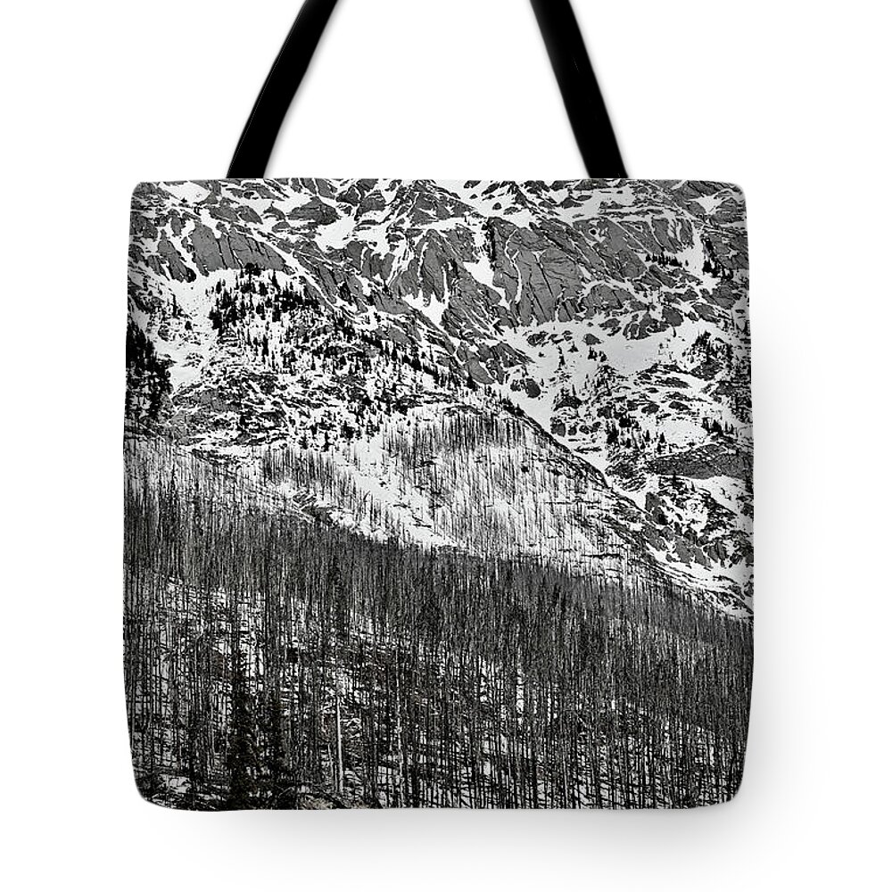 After The Forrest Fires Tote Bag featuring the photograph Stick Mountain Medicine Lake 2021 by Brian Sereda