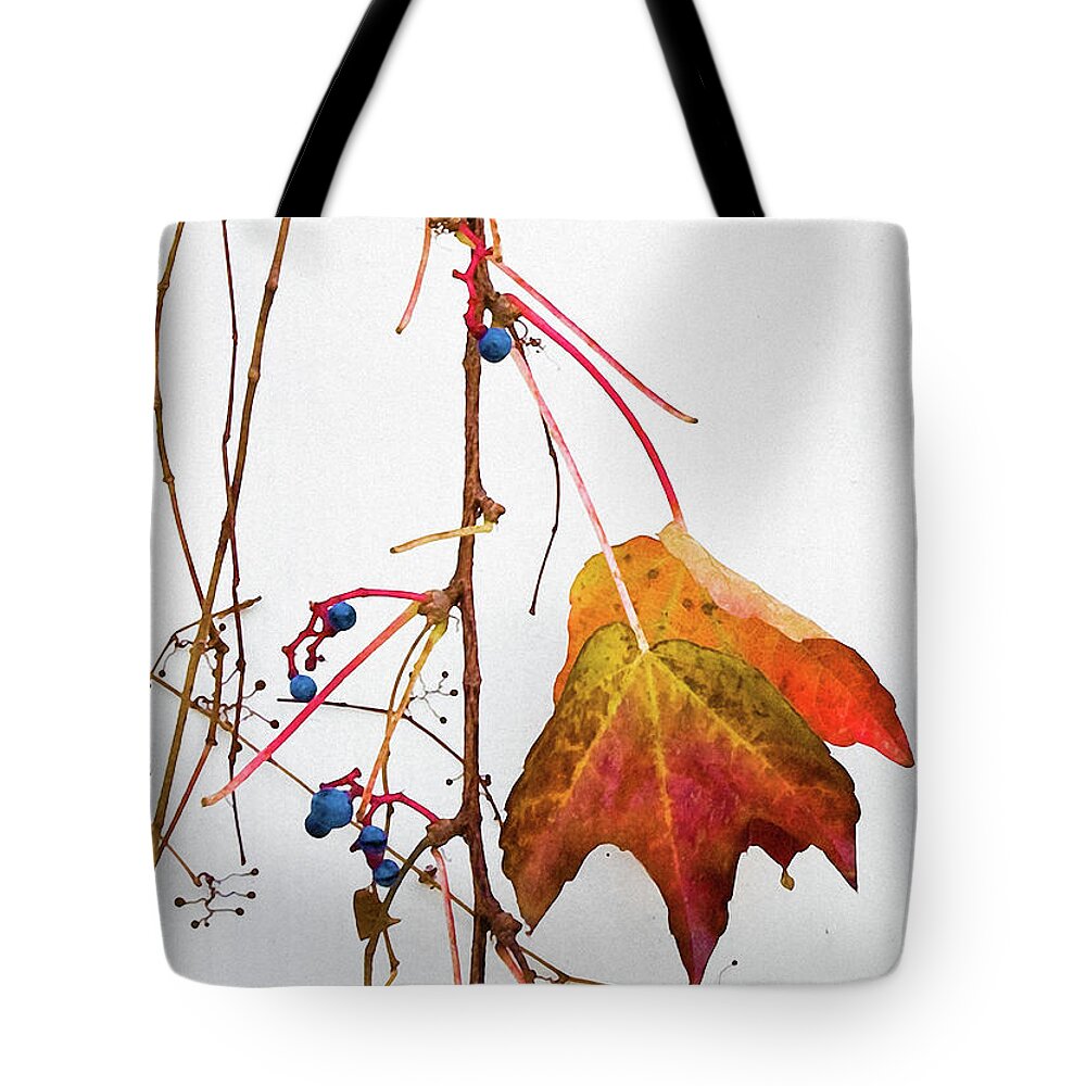 Photography Tote Bag featuring the photograph Still Hanging by Marc Nader