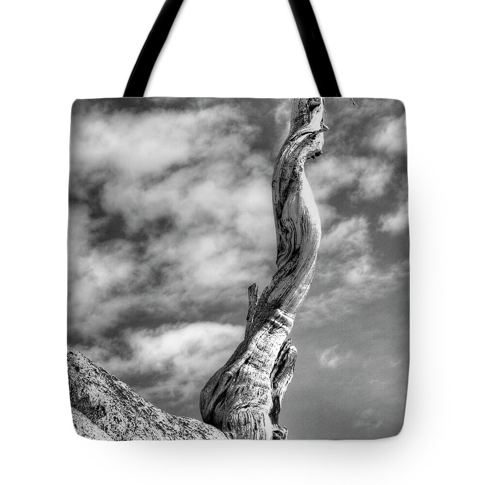 Yosemite Tote Bag featuring the photograph Still Standing by Joe Schofield