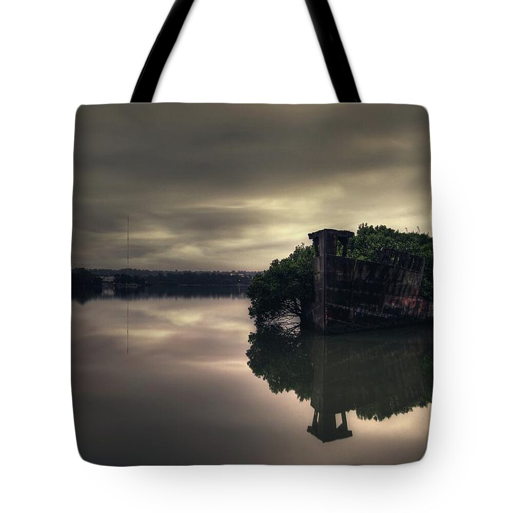 Shipwreck Tote Bag featuring the photograph Stillness Speaks by Andrew Paranavitana