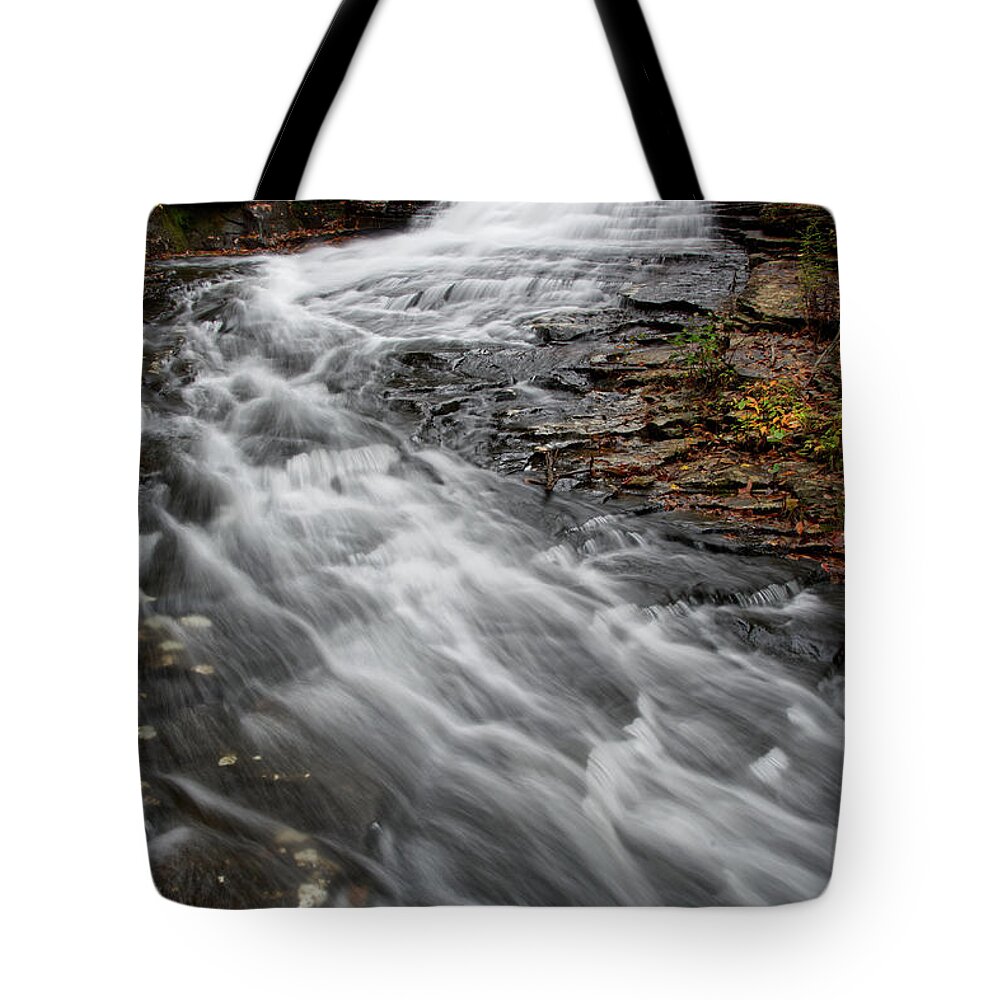 Hike Tote Bag featuring the photograph Stinging Fork Falls 27 by Phil Perkins