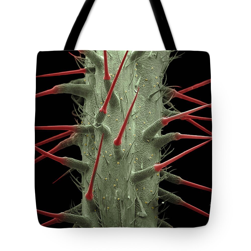 Alternative Medicine Tote Bag featuring the photograph Stinging Nettle SEM by Ted Kinsman