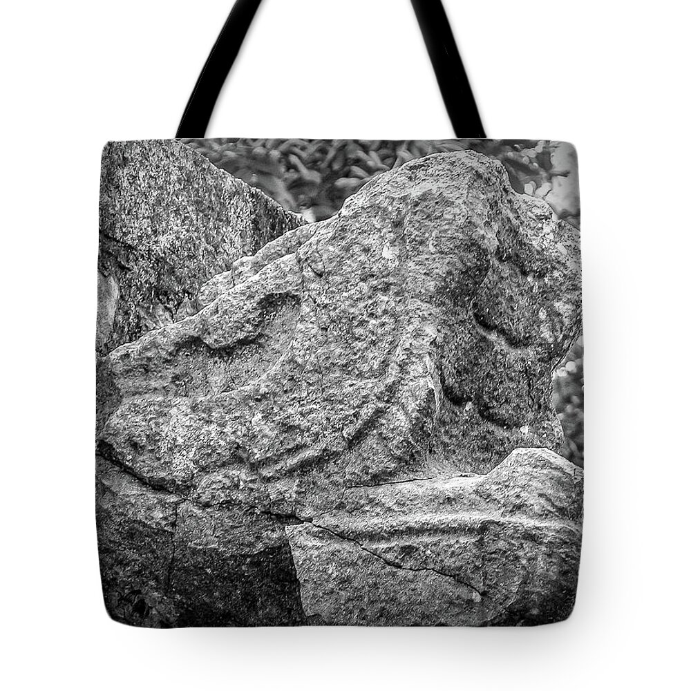 Chichen Itza Tote Bag featuring the photograph Stone Snakehead Carving - Chichen Itza by Frank Mari