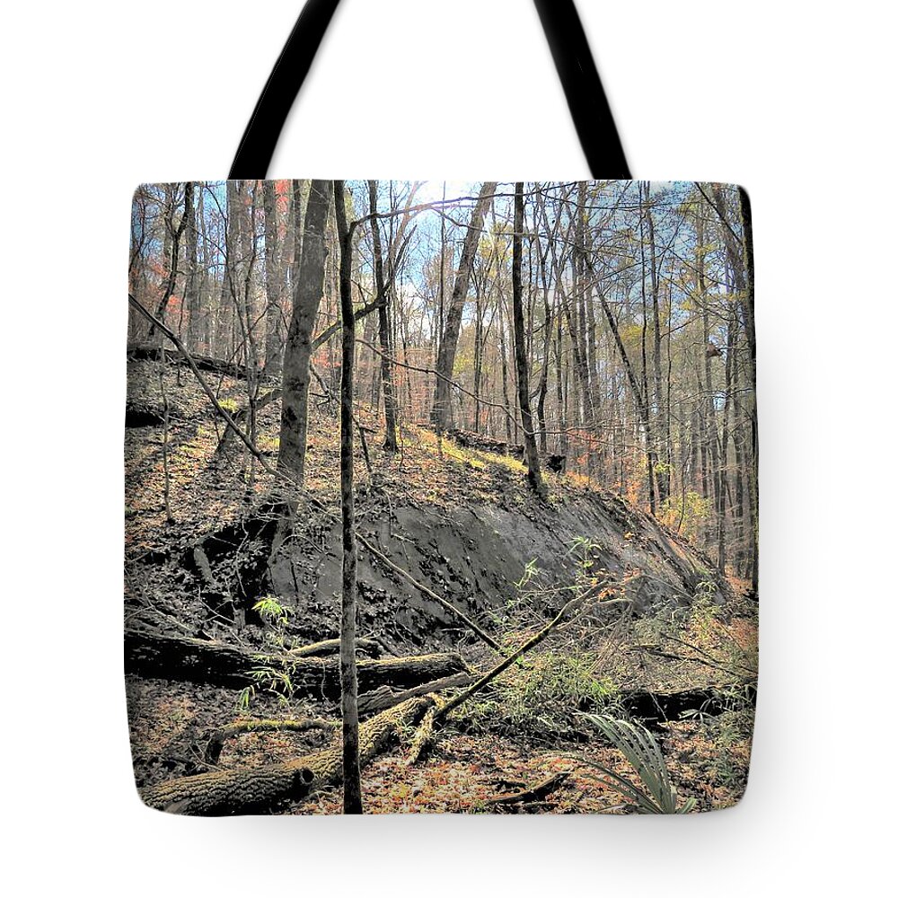 Stone Tote Bag featuring the photograph Stoned Forest by Ed Williams