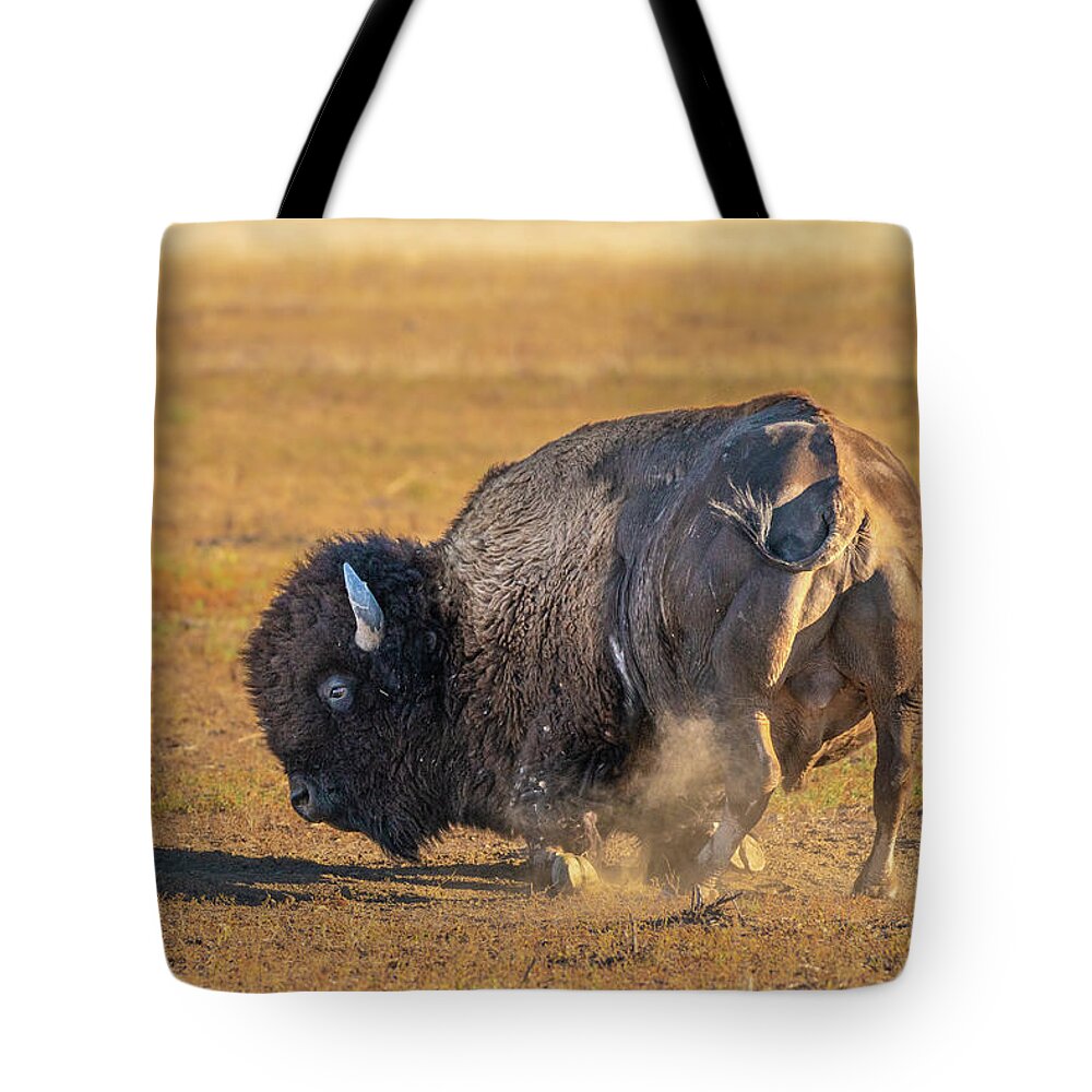 America Tote Bag featuring the photograph Stop, Drop, and Roll by Erin K Images