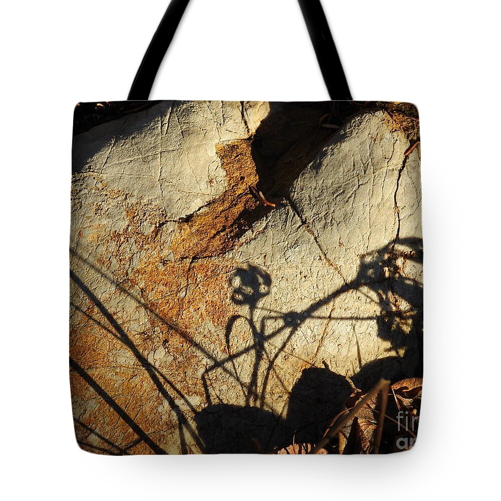 Stone Tote Bag featuring the photograph Storied stone by Nicola Finch