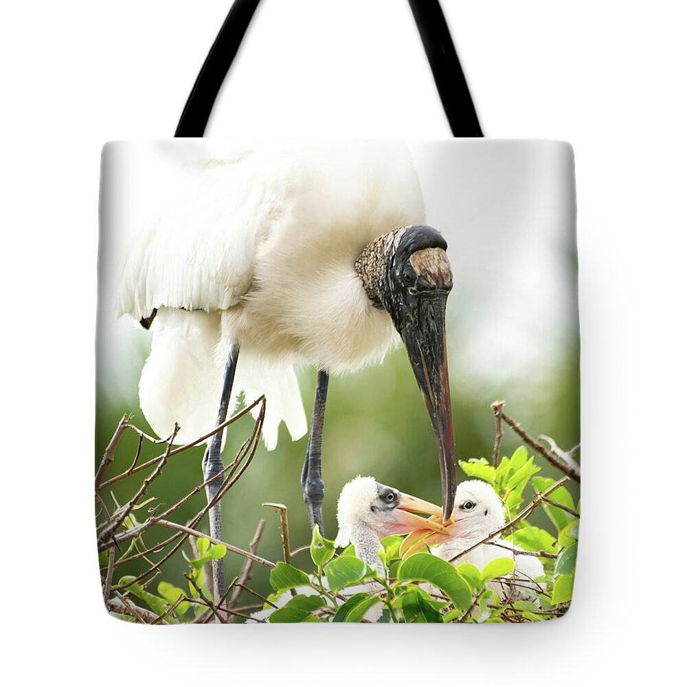 Woodstork Tote Bag featuring the photograph Stork and Chicks by Rebecca Herranen