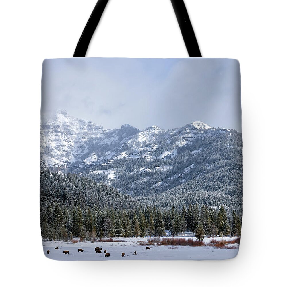 Yellowstone National Park Tote Bag featuring the photograph Storm in Yellowstone by Cheryl Strahl
