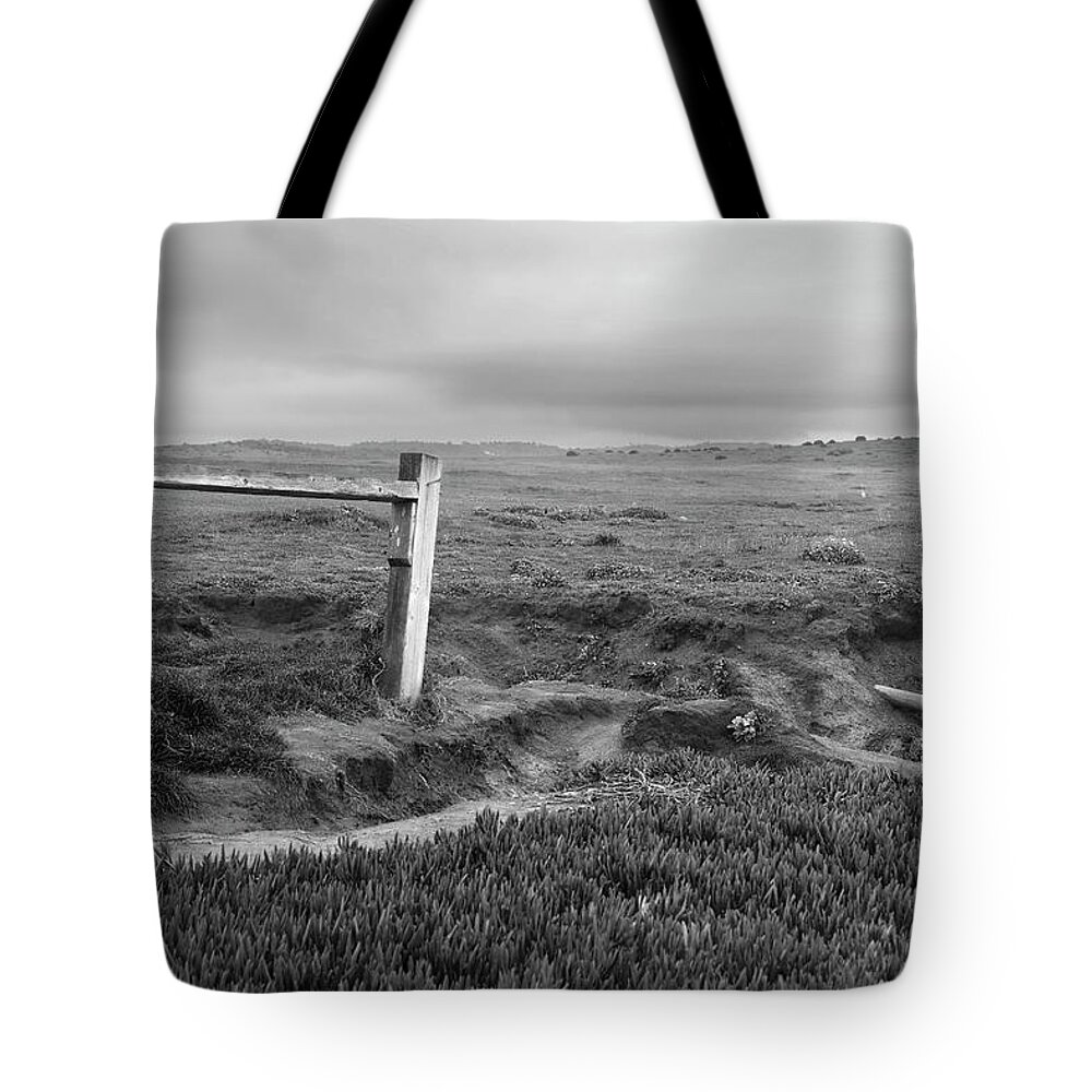 Stormy Tote Bag featuring the photograph Stormy H by Gina Cinardo