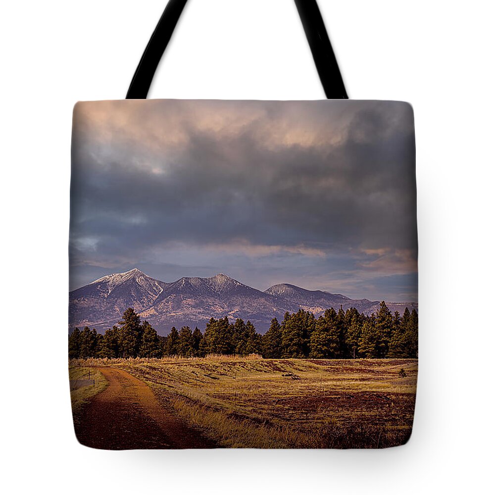 Wetlands Tote Bag featuring the photograph Stormy Skies by Laura Putman