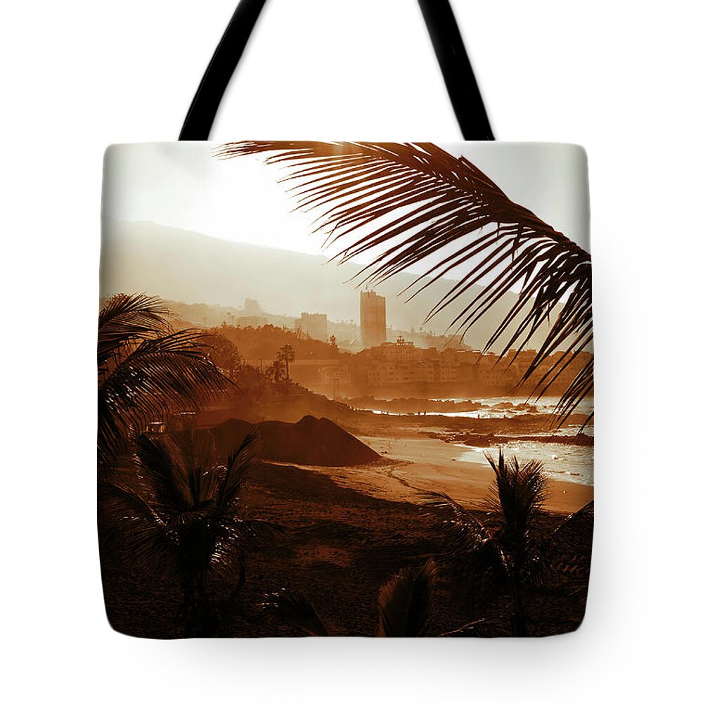 Brown Tote Bag featuring the photograph Stormy weather with palm trees on the beach in sepia color by Severija Kirilovaite