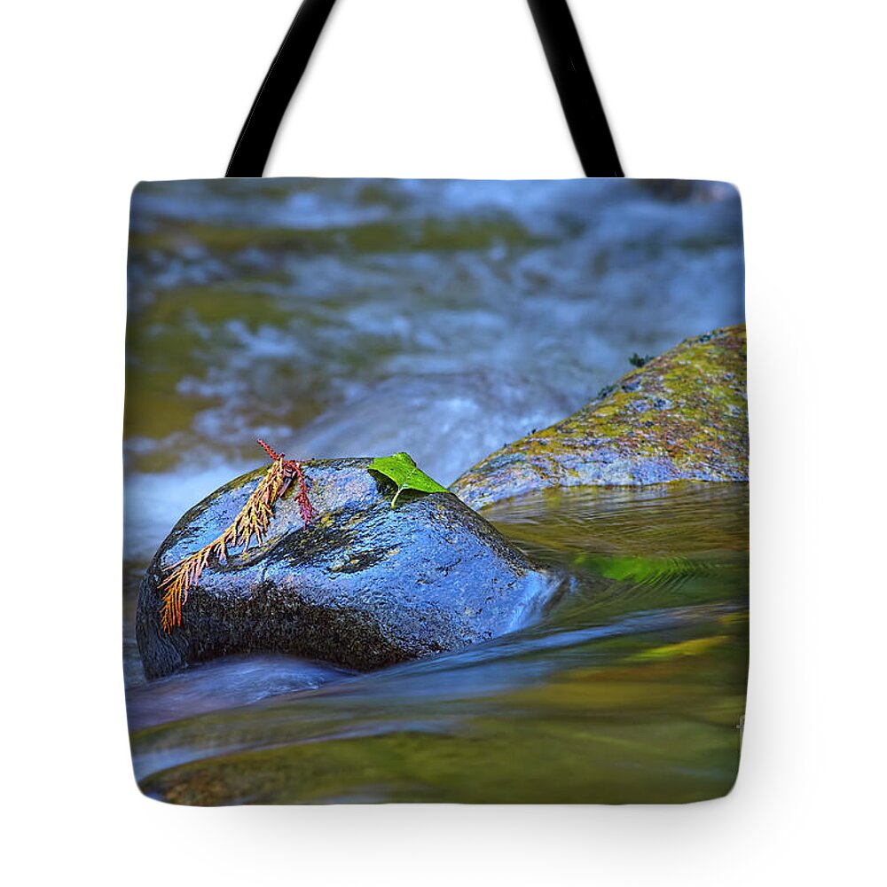 Stranded On A Rock Tote Bag featuring the photograph Stranded on a Rock by Sharon Talson
