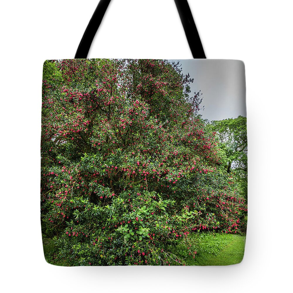 Strawberry Tree Tote Bags