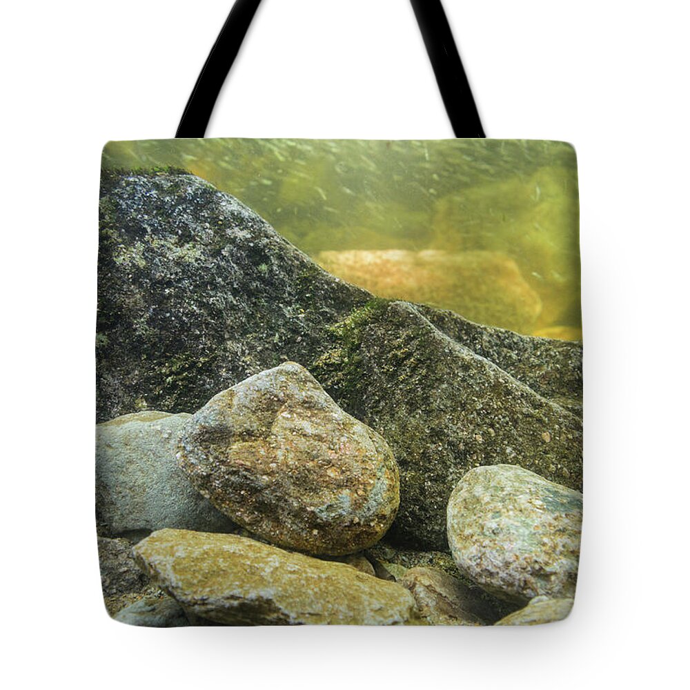 Blue Ridge Mountains Tote Bag featuring the photograph Stream Bottom by Melissa Southern