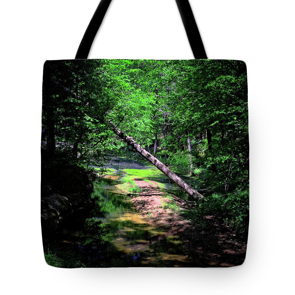 Forest Tote Bag featuring the photograph Stream Through the Woods by George Taylor