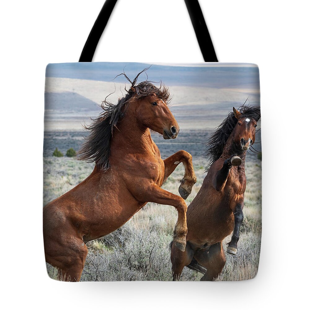 Wild Horses Tote Bag featuring the photograph Strength by Mary Hone