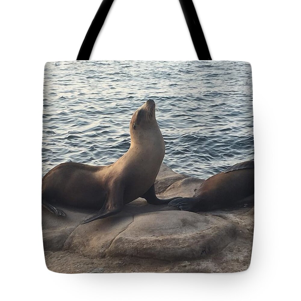 Seal Tote Bag featuring the photograph Strike a Pose by Lisa White