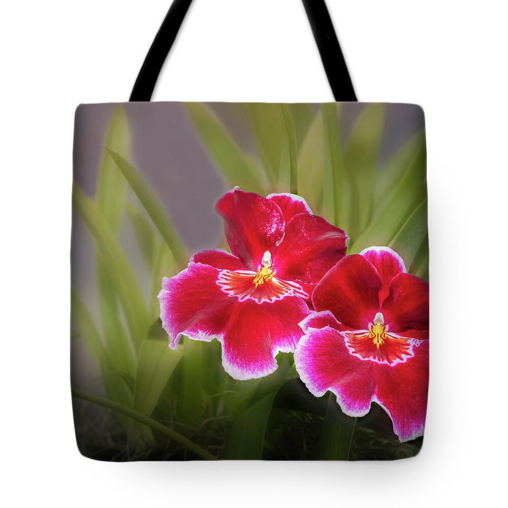 Orchid Tote Bag featuring the photograph Striking Orchids by Elvira Peretsman