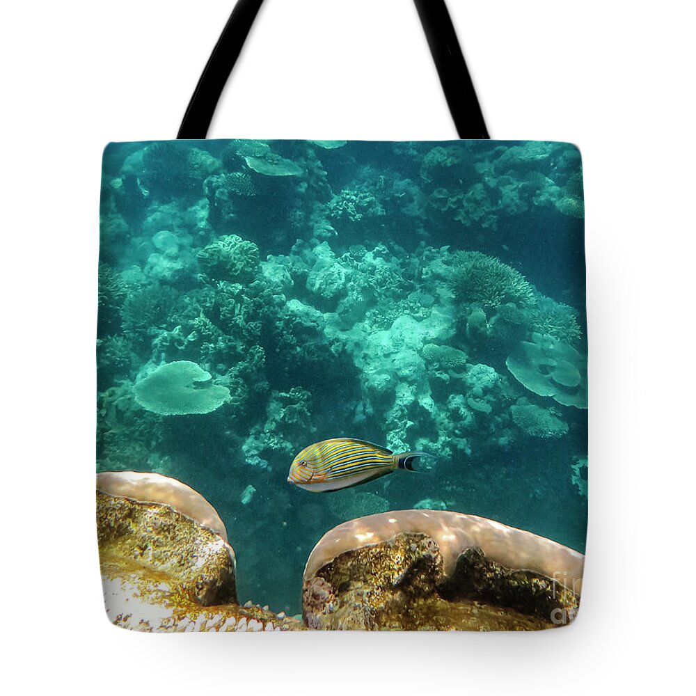 Great Barrier Reef Tote Bag featuring the photograph Striped Surgeonfish Two by Bob Phillips