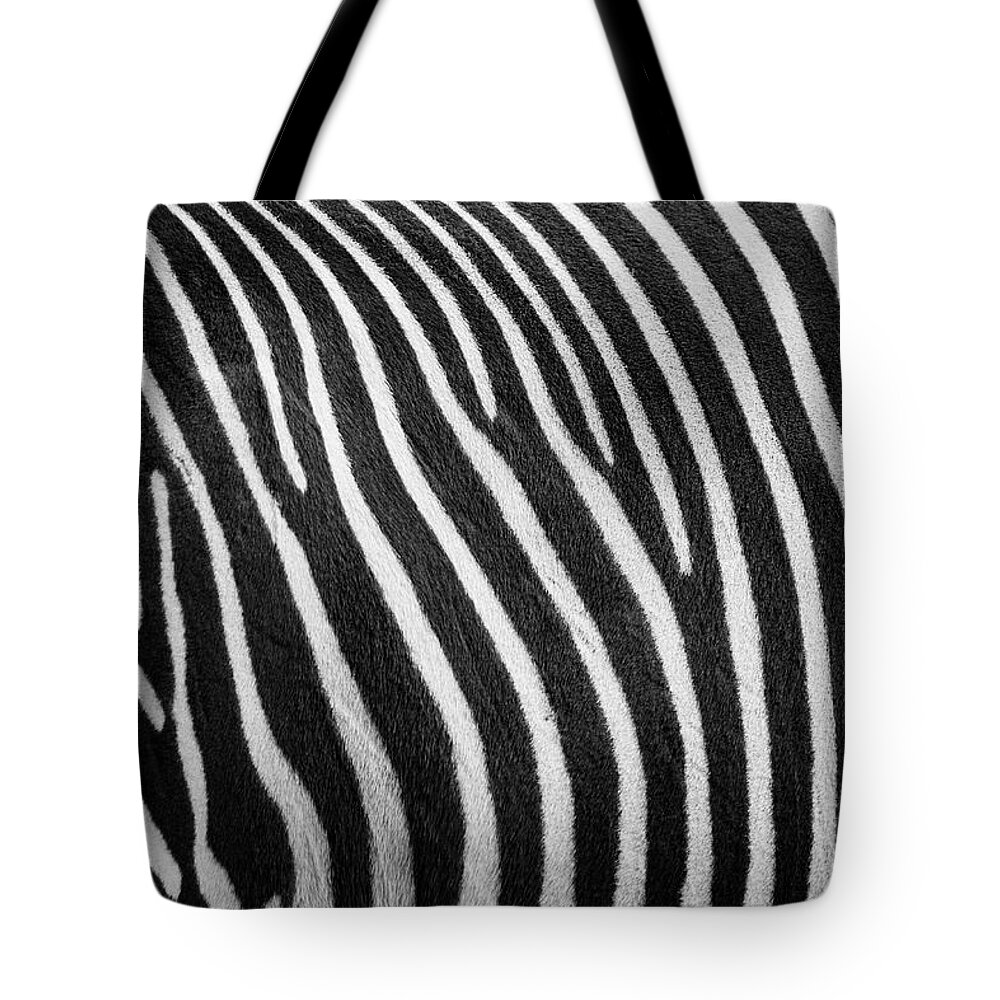 Zoo Boise Tote Bag featuring the photograph Stripes by Melissa Southern