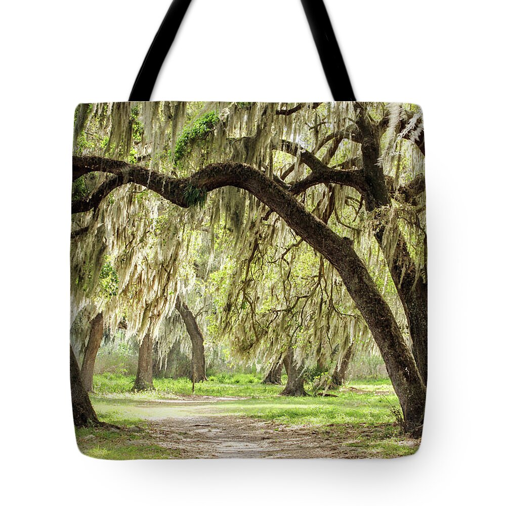Florida Tote Bag featuring the photograph Strolling Through the Reserve by Robert Carter