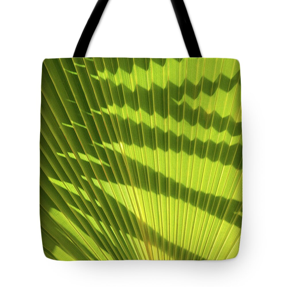 Palm Leaf Tote Bag featuring the photograph Structure of green palm leaf with shadows 2 by Adriana Mueller