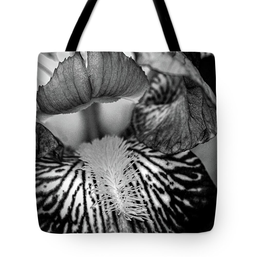 Bearded Iris Tote Bag featuring the photograph Study The Details by Susie Loechler