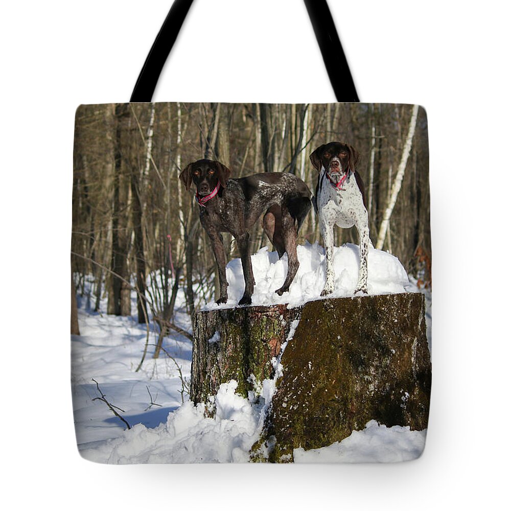 German Shorthair Tote Bag featuring the photograph Stumped Dogs by Brook Burling
