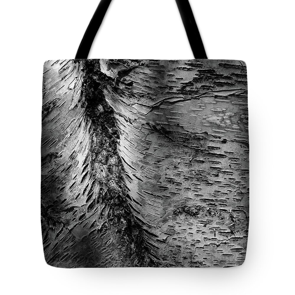 Shadow Tote Bag featuring the photograph Subtle Light on Bark by Dutch Bieber