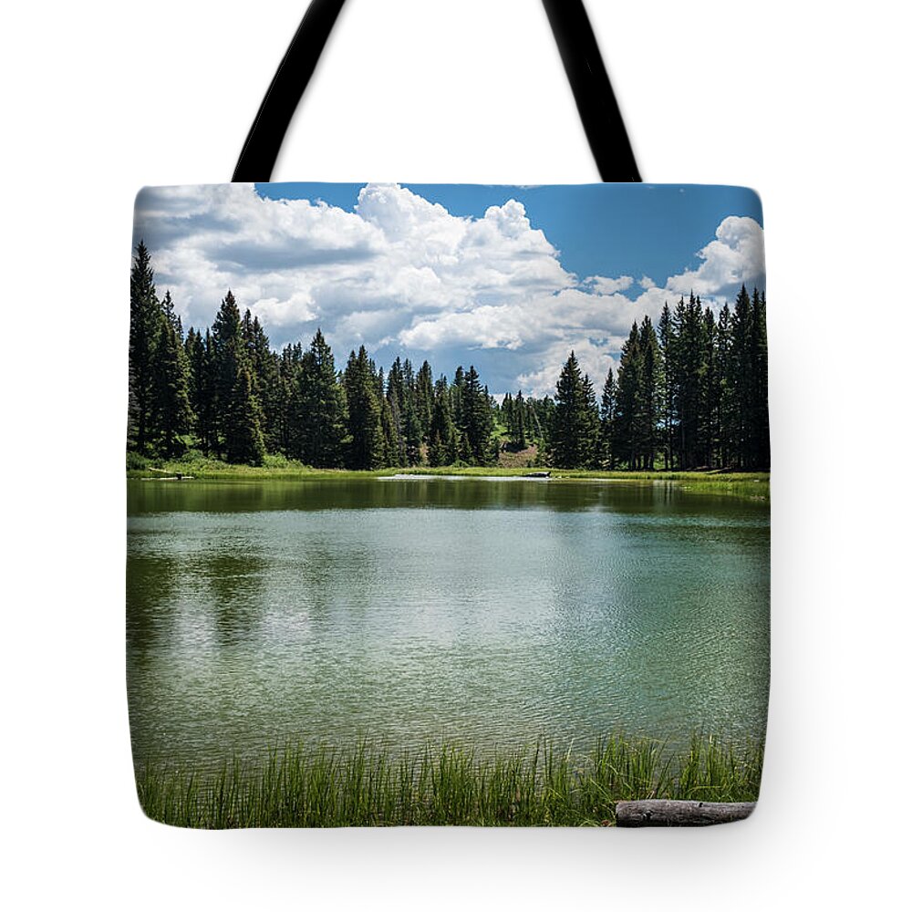 Scenic Tote Bag featuring the photograph Summer at Lagunitas by Mary Lee Dereske