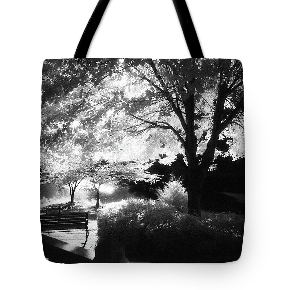 Infrared Black And White Tote Bag featuring the photograph Summer at Quiet Waters No.7 - Infrared Black and White Film Photograph by Steve Ember