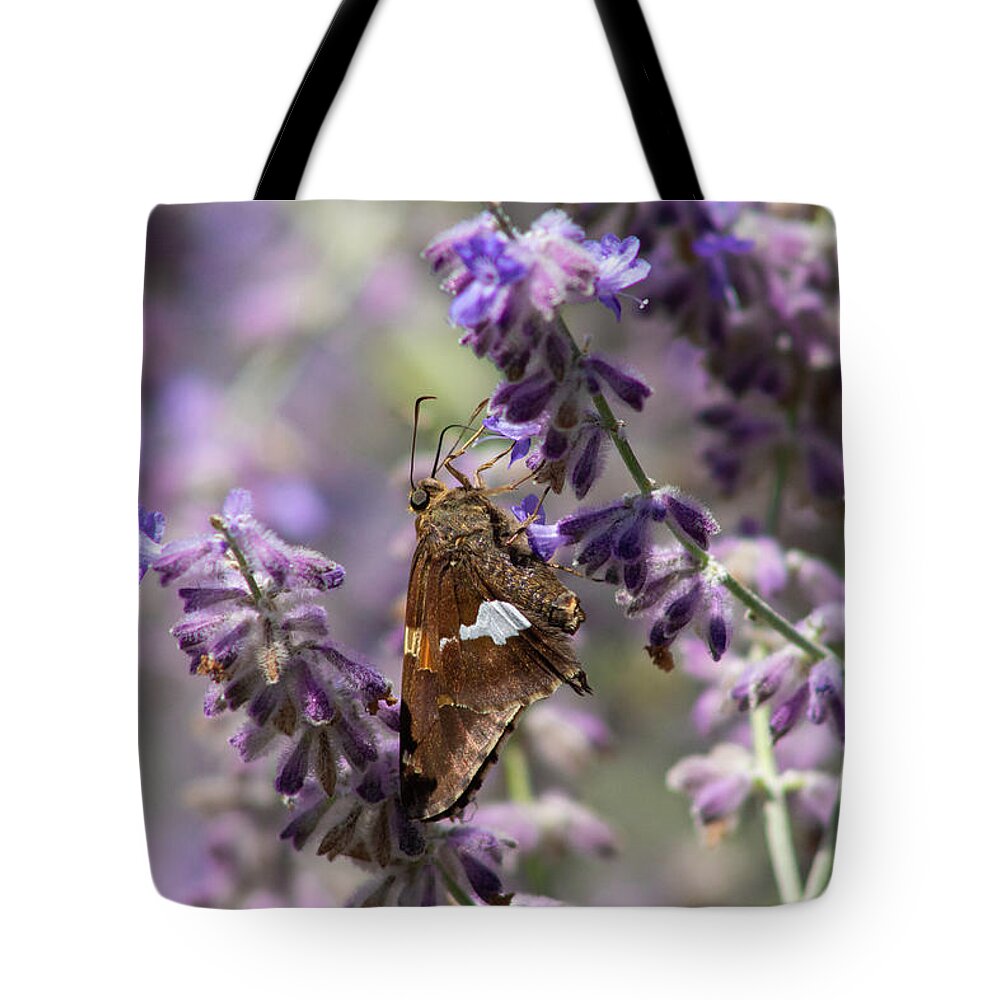 Flower Tote Bag featuring the photograph Summer Butterfly by Auden Johnson