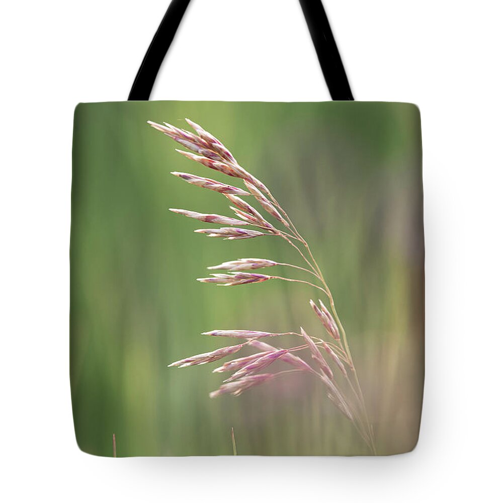 Agriculture Tote Bag featuring the photograph Summer hay seeds by Karen Rispin