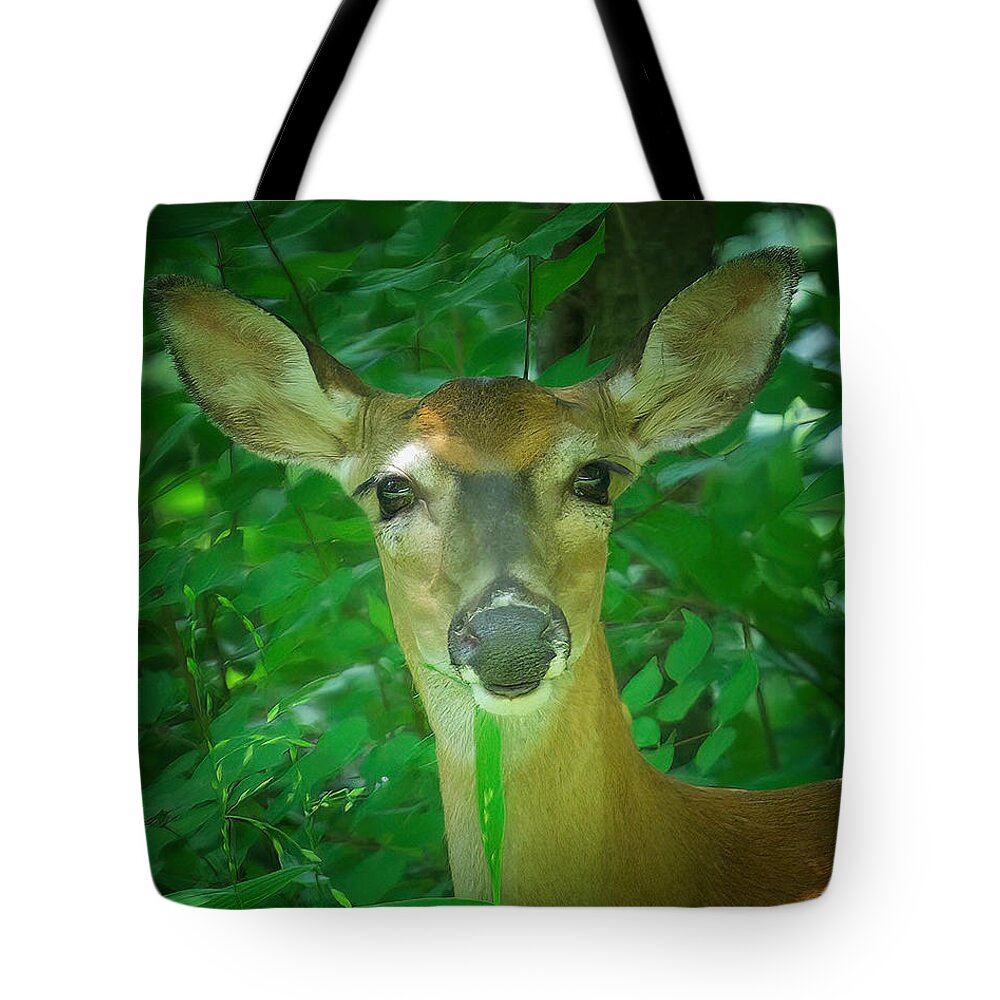 Deer Tote Bag featuring the photograph Summer Lady by DArcy Evans