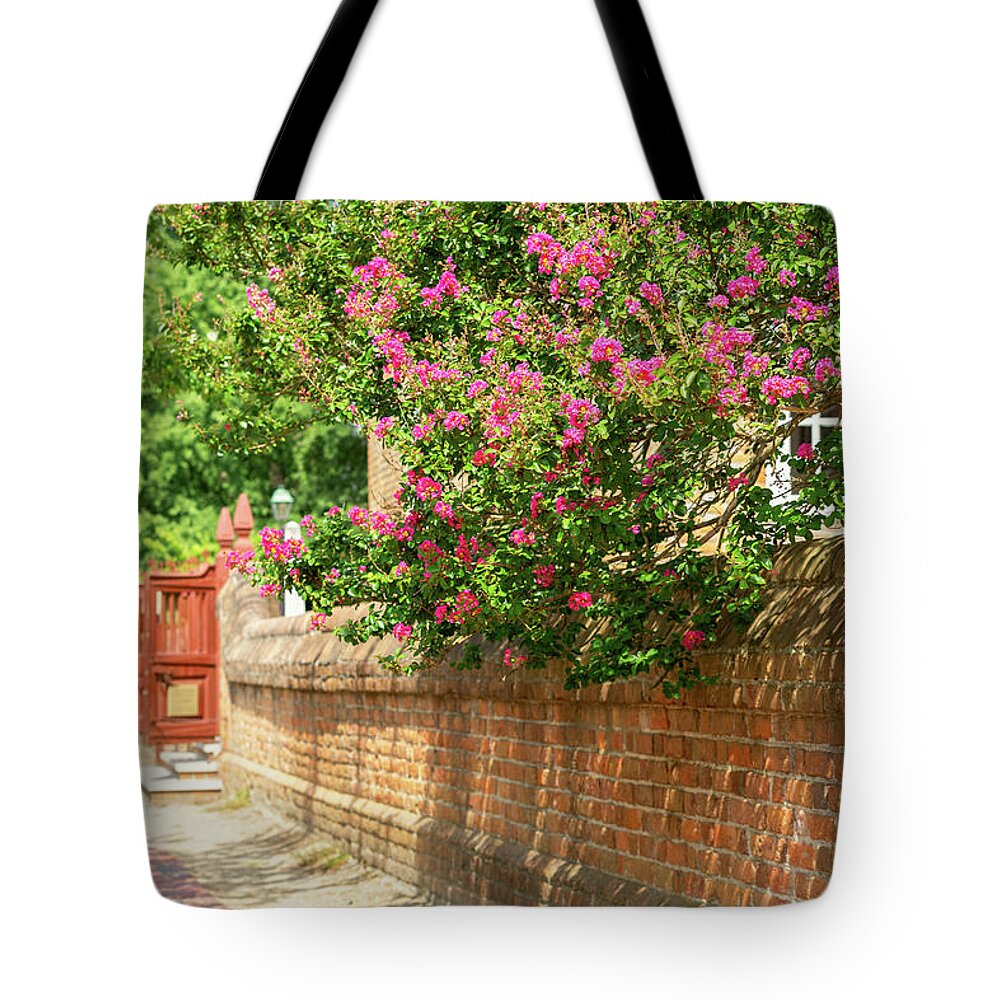 Colonial Williamsburg Tote Bag featuring the photograph Summer Morning on DOG Street by Rachel Morrison
