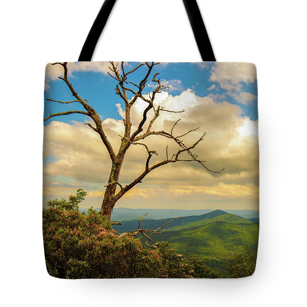 Mountain Tote Bag featuring the photograph Summer Mountain Vibes by Go and Flow Photos