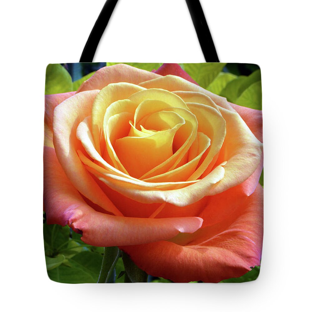 Rose Tote Bag featuring the photograph Summer Rose by Terence Davis