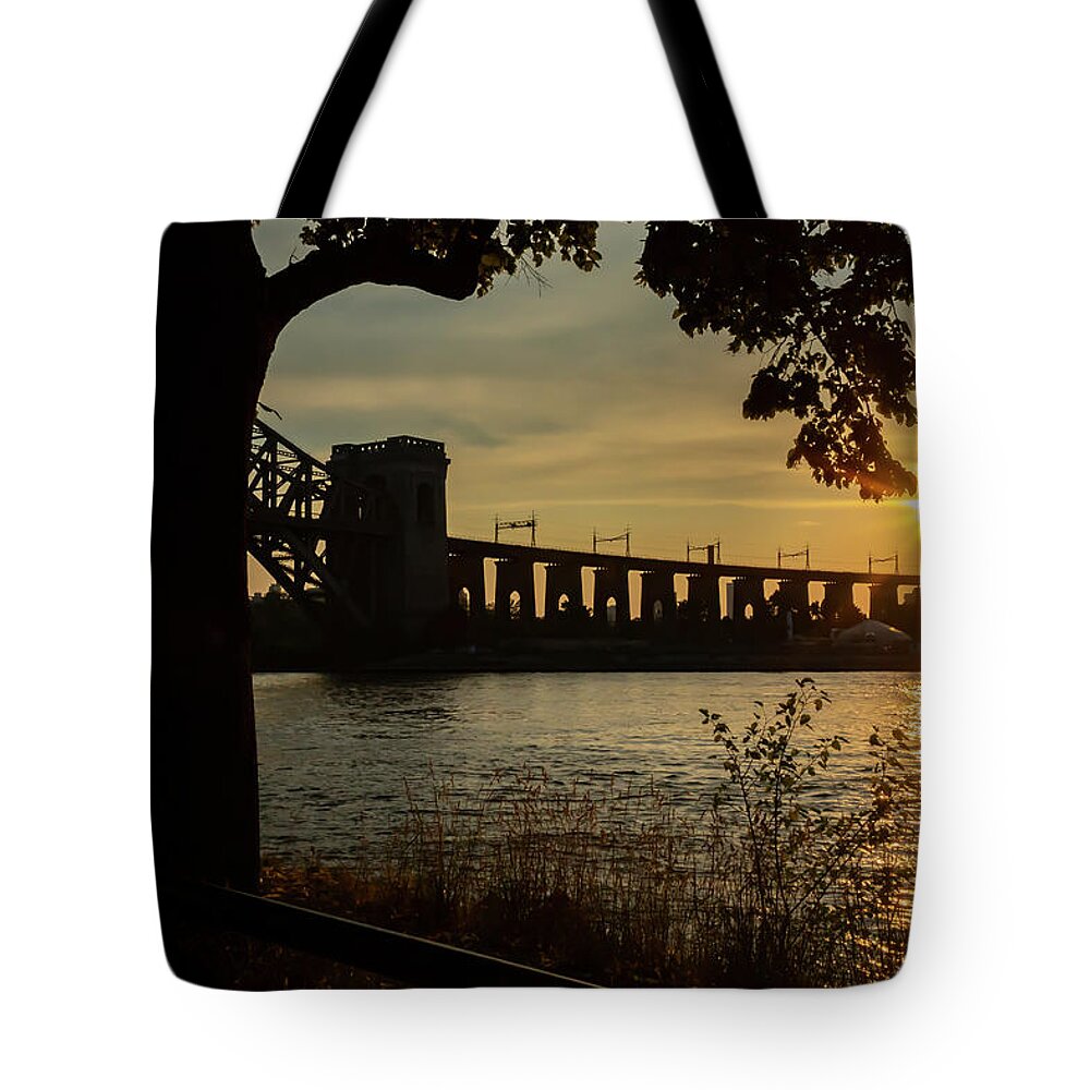 Silhouette Tote Bag featuring the photograph Summer Silhouette by Cate Franklyn