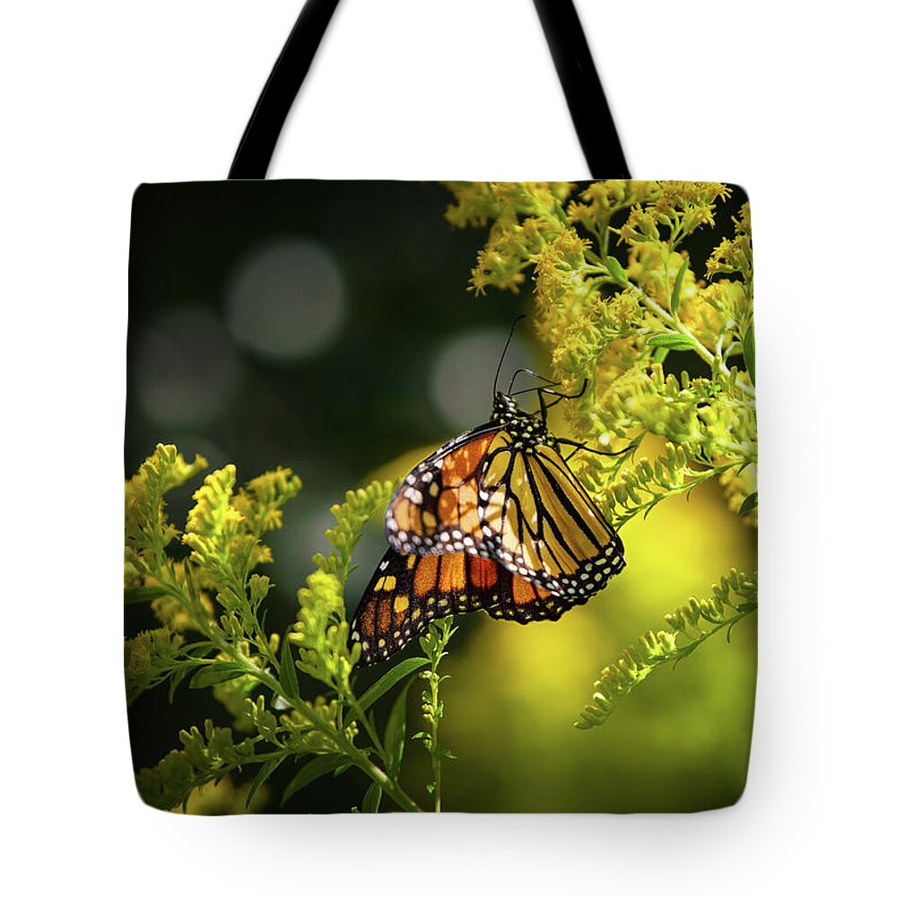 Monarch Butterfly Tote Bag featuring the photograph Summer Sojourn by Rehna George