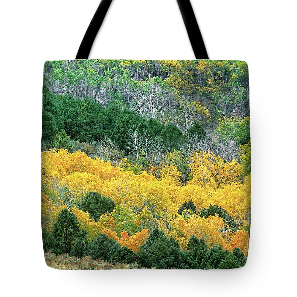 Dave Welling Tote Bag featuring the photograph Summers Meadow Eastern Sierras California by Dave Welling