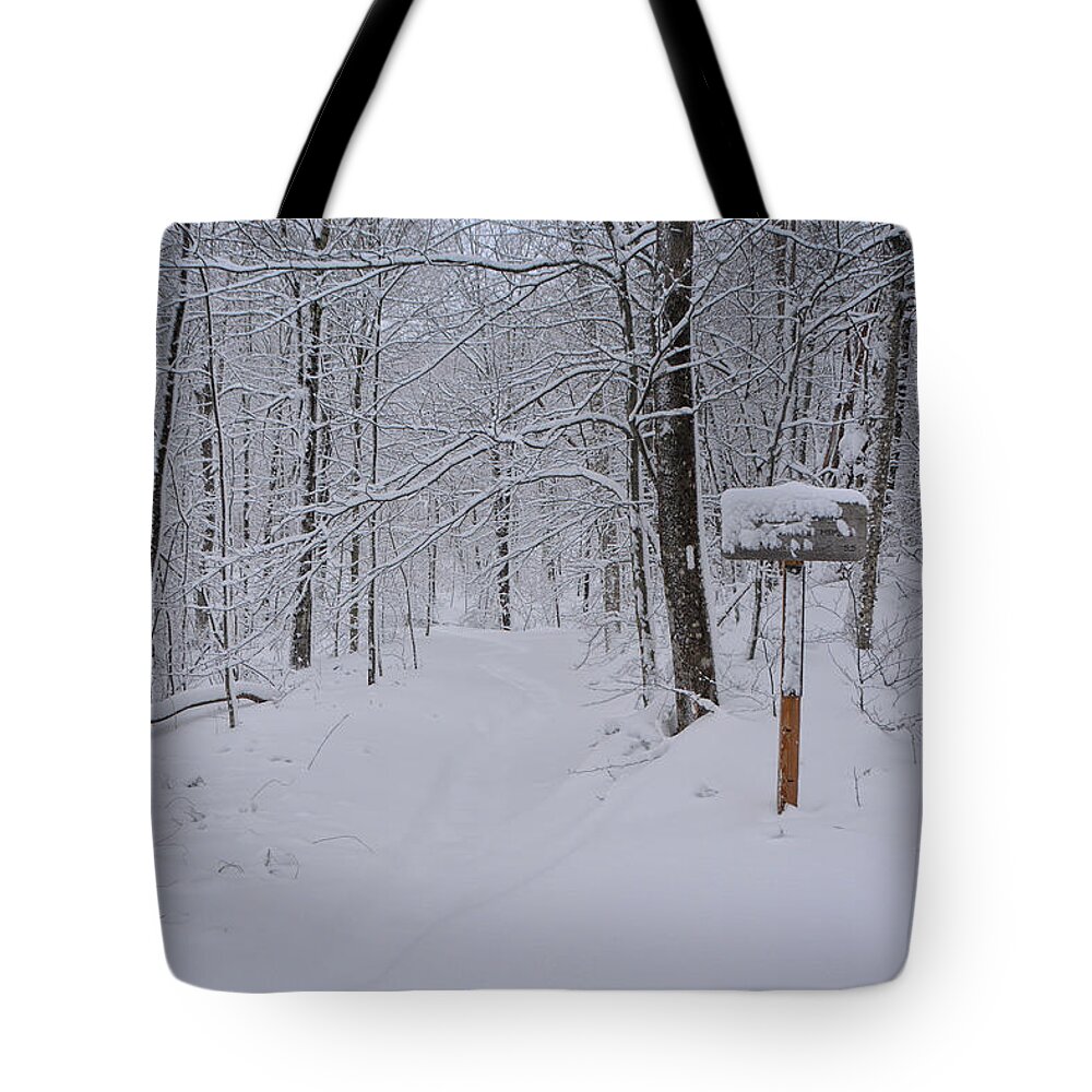 Summit Of Bromley 3 Snow Filled Miles Away Tote Bag featuring the photograph Summit of Bromley 3 Snow Filled Miles Away by Raymond Salani III