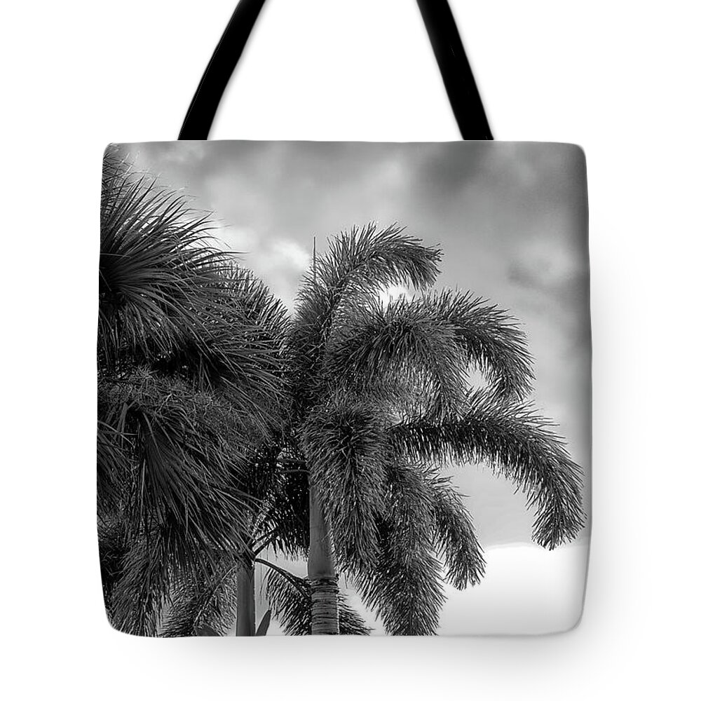 Palms Tote Bag featuring the photograph Sun and Clouds Behind Palms by Alan Goldberg